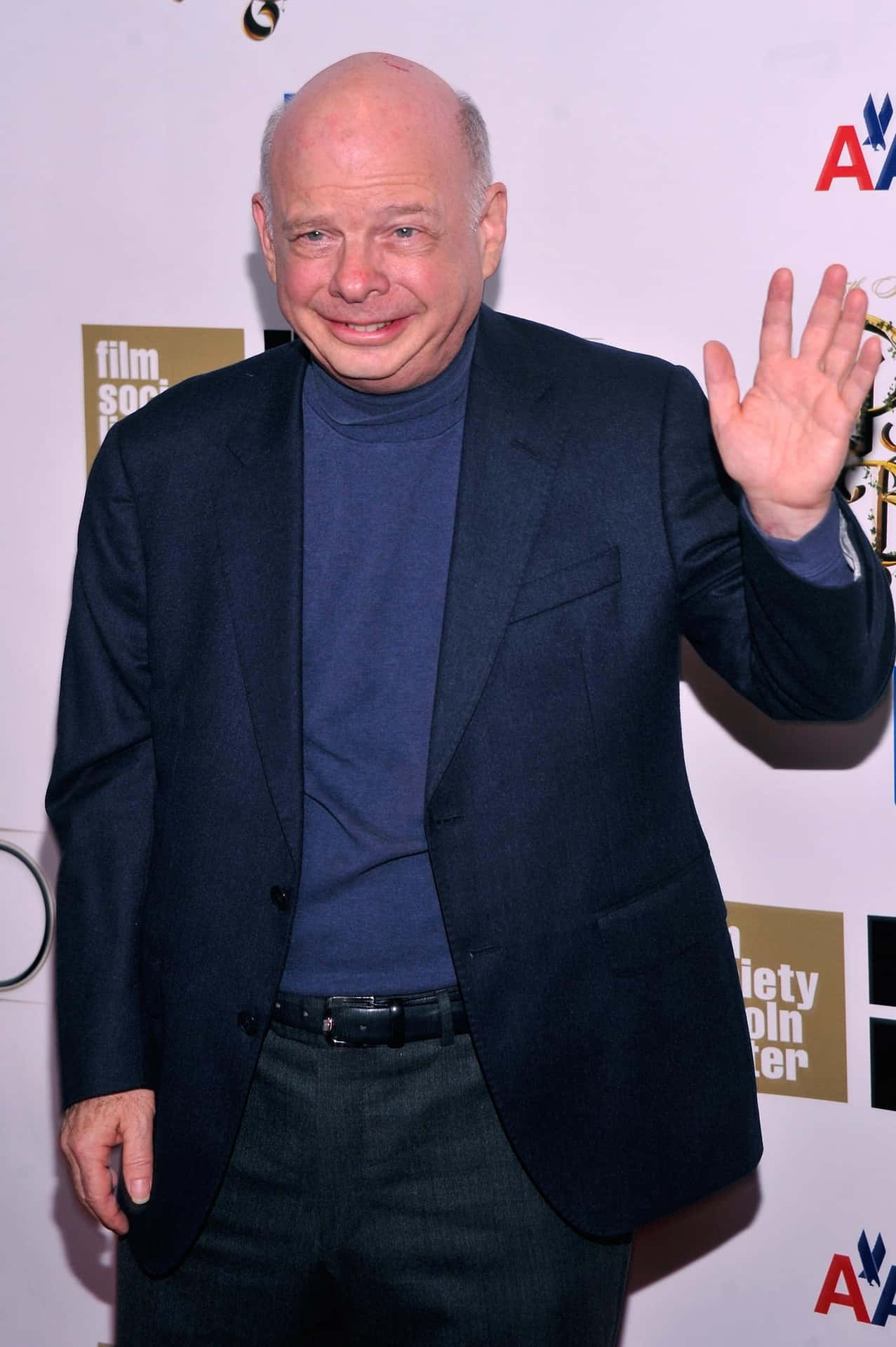 Portrait of Wallace Shawn, the versatile American actor and playwright Wallpaper