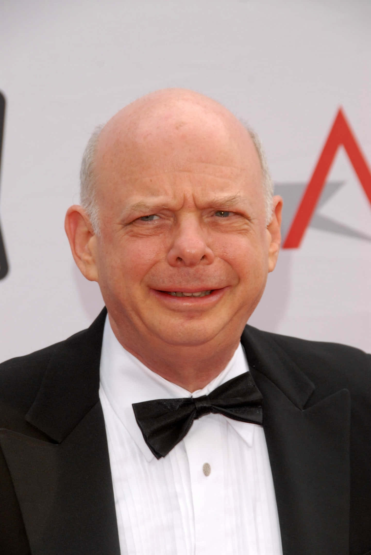 Wallace Shawn posing for a photoshoot Wallpaper