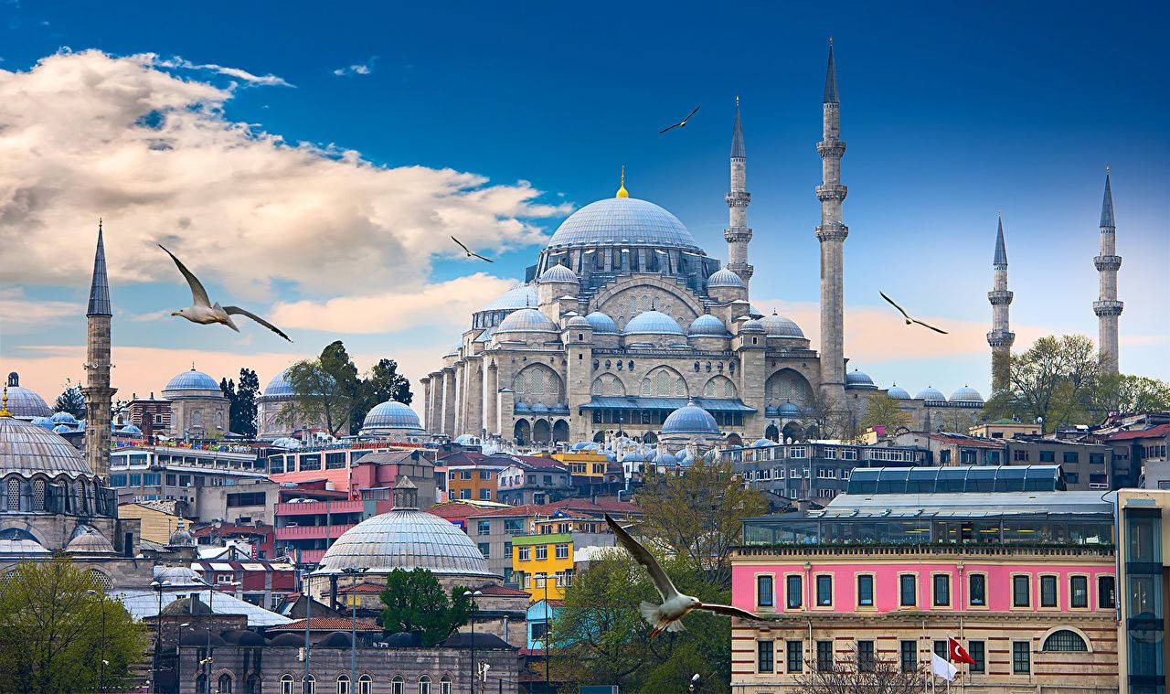 Wallpaper Istanbul Birds Mosque Turkey Temples Cities Clouds