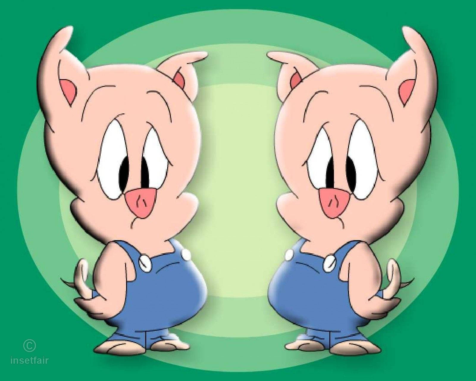 Porky Pig Fictional Character Background