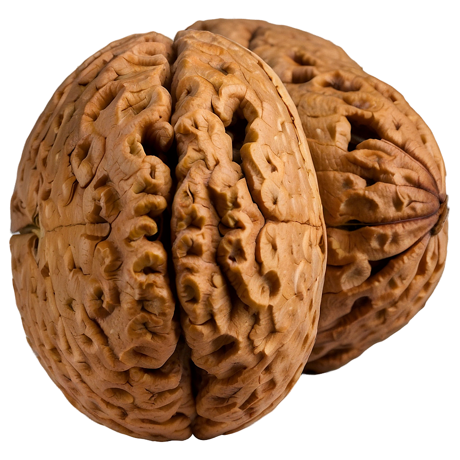 Walnut C PNG