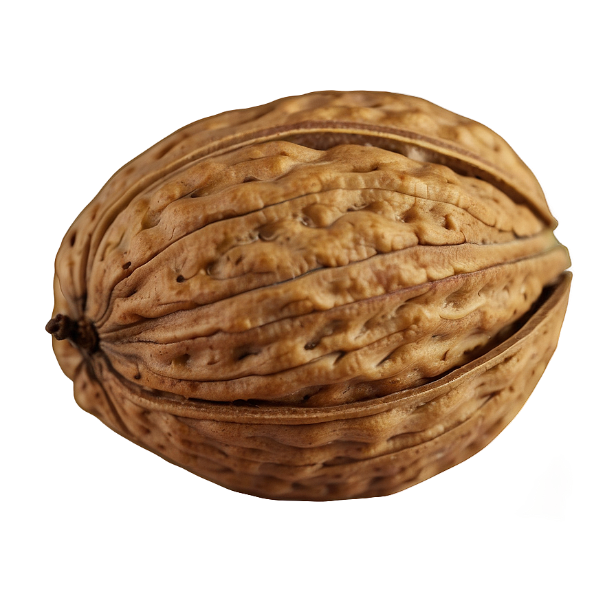 Walnut Png Nya85 PNG