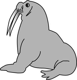 Walrus Vector Illustration PNG