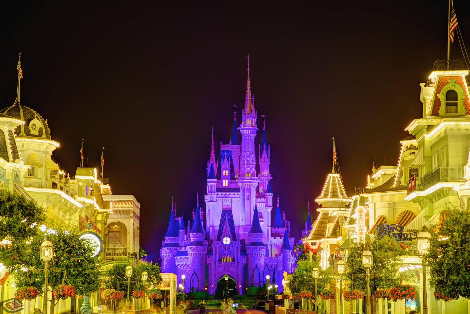 Walt Disney World At Night Wallpaper