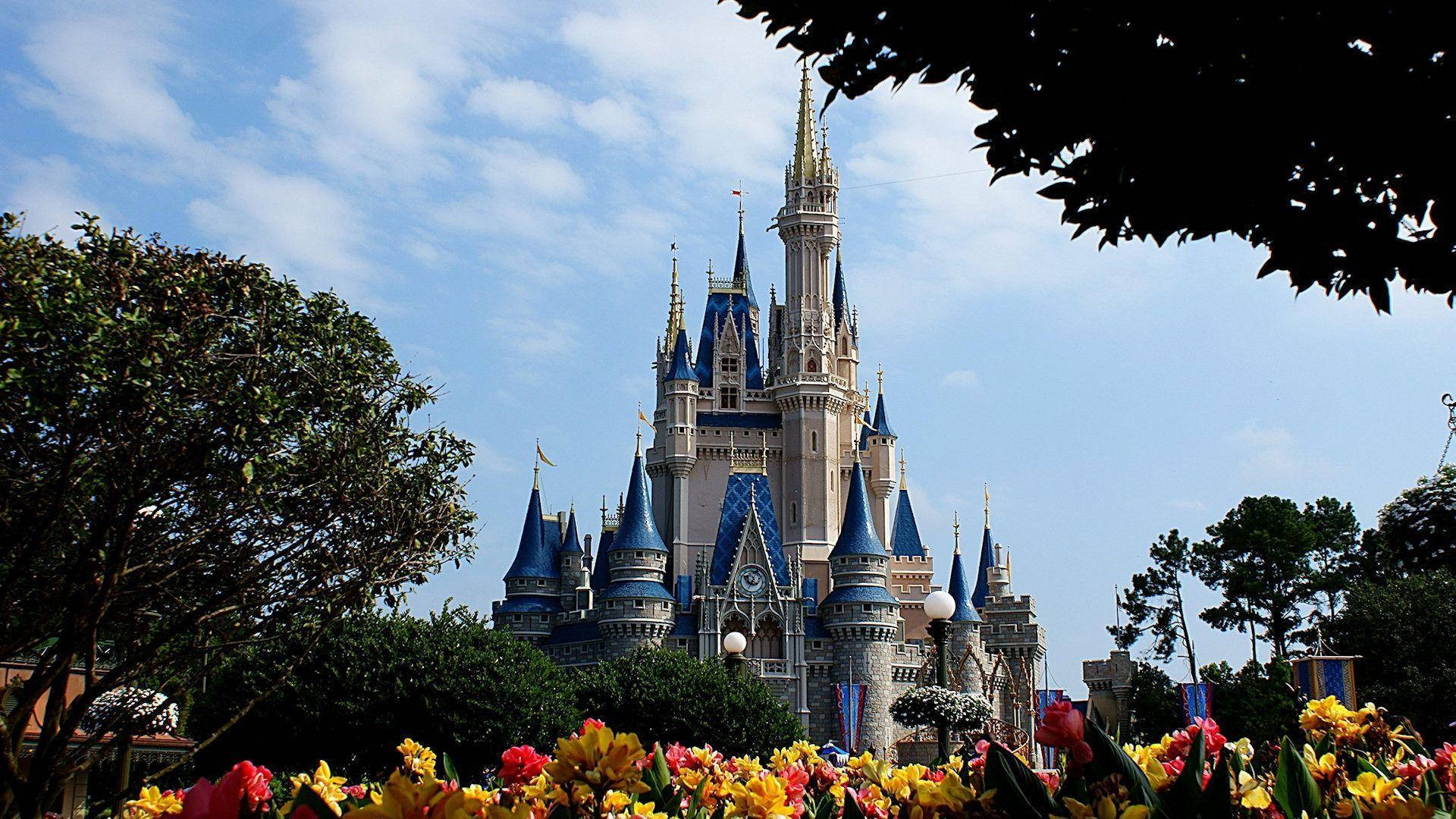 Besøg et vidunderligt land af magi og drømme med dette Disney World Faraway Castle Scene Wallpaper. Wallpaper