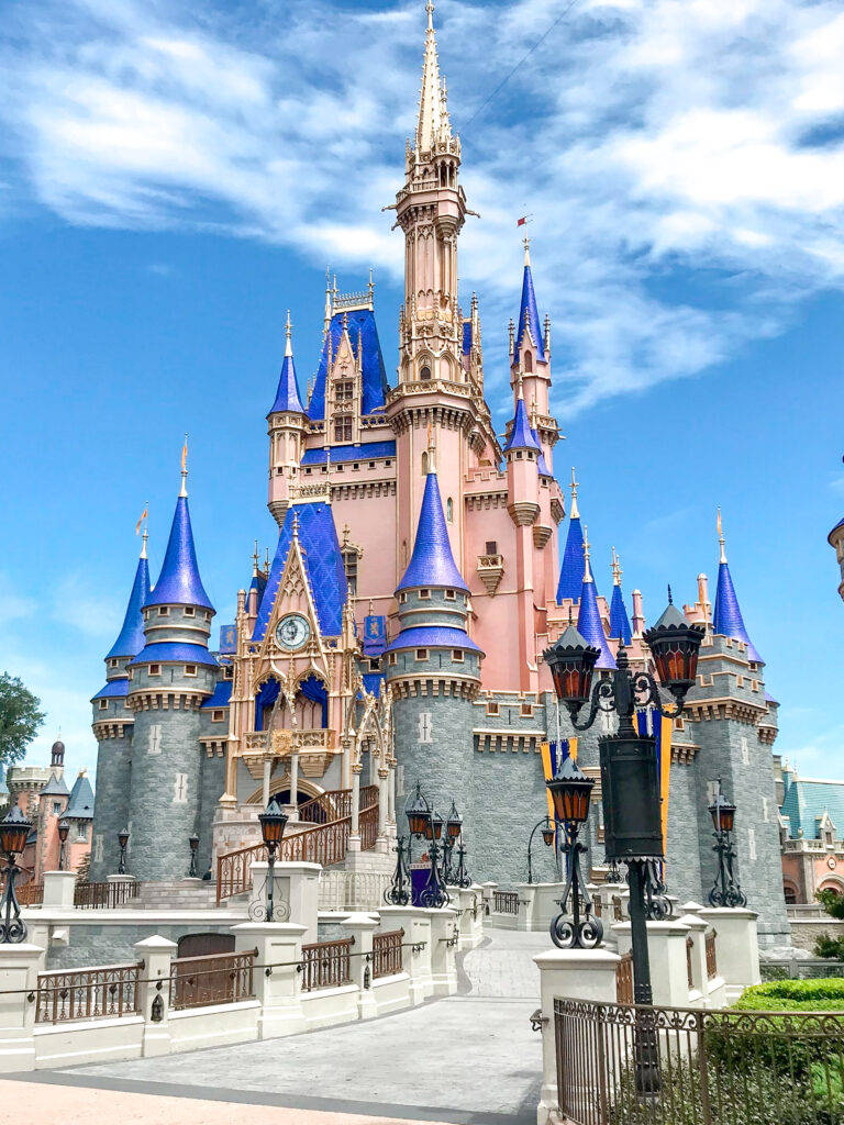 Walt Disneyworld Castle Grounds Wallpaper