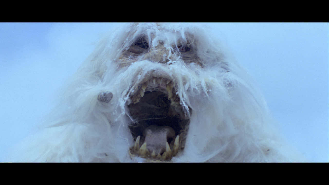 Feel the Force with Wampa. Wallpaper
