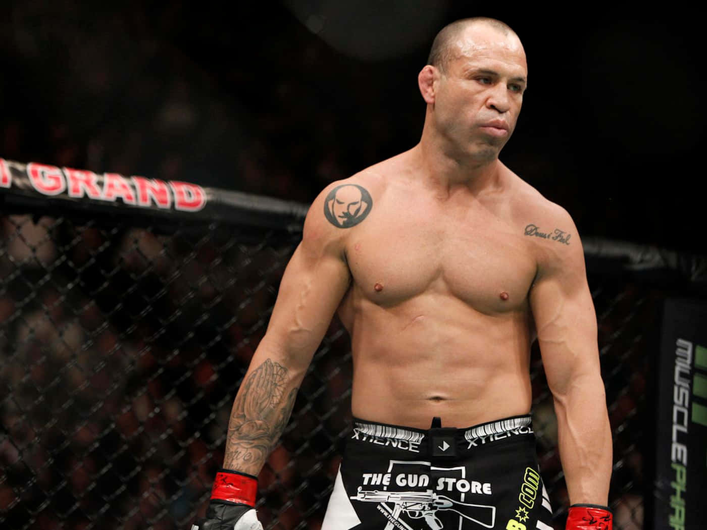 Wanderlei Silva In One Of His Matches Background