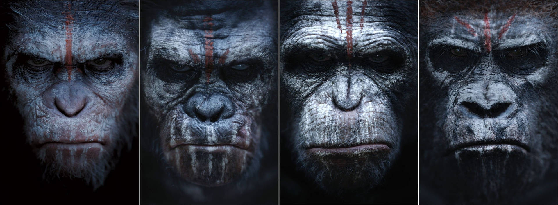 War Of The Planet Of The Apes Warriors Wallpaper