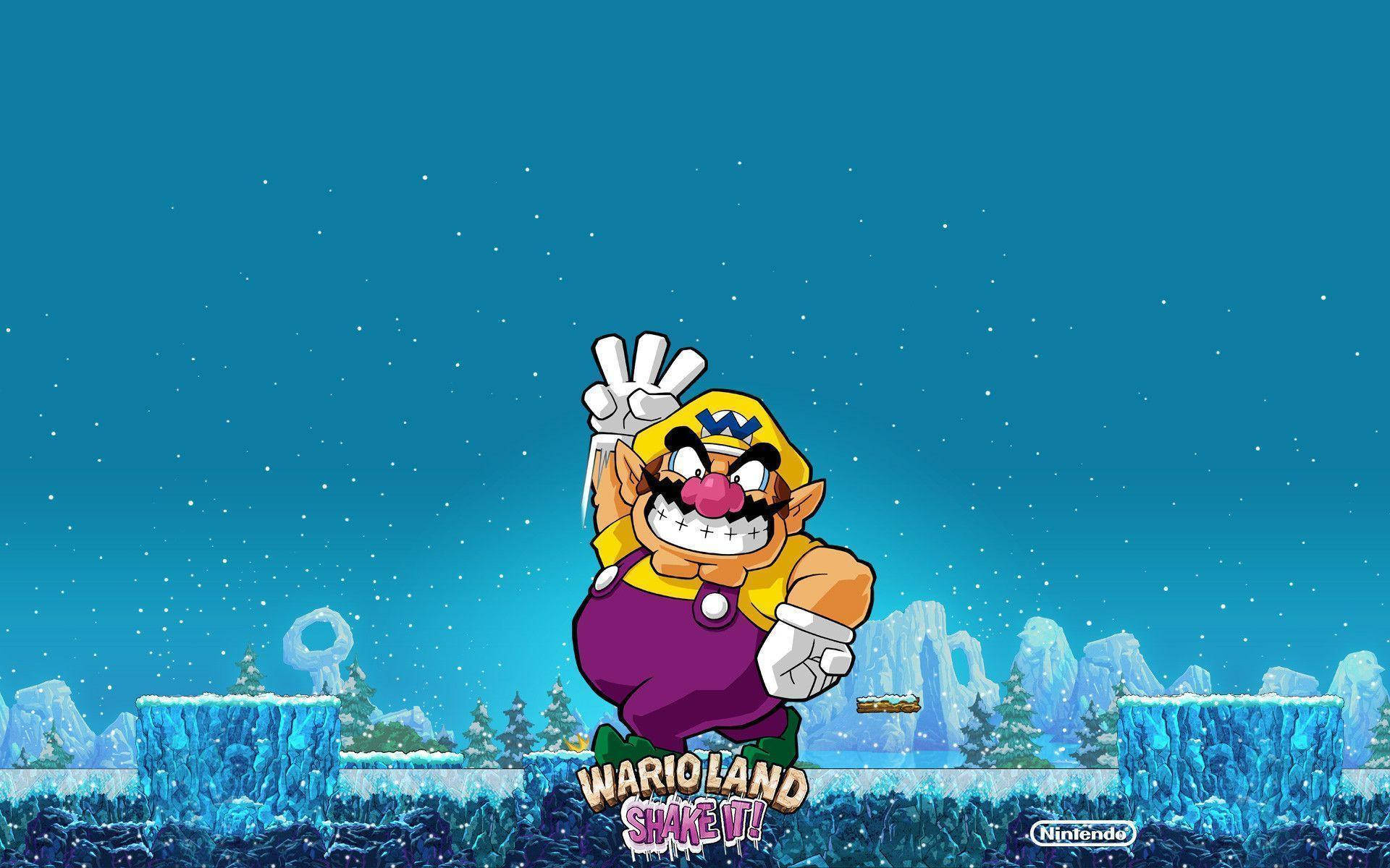 Wario Land Nintendo Characters