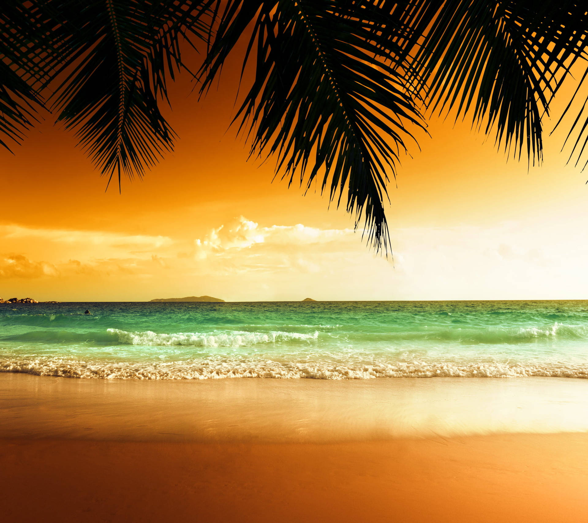 Warm-tinted Beach Tropical Desktop Wallpaper