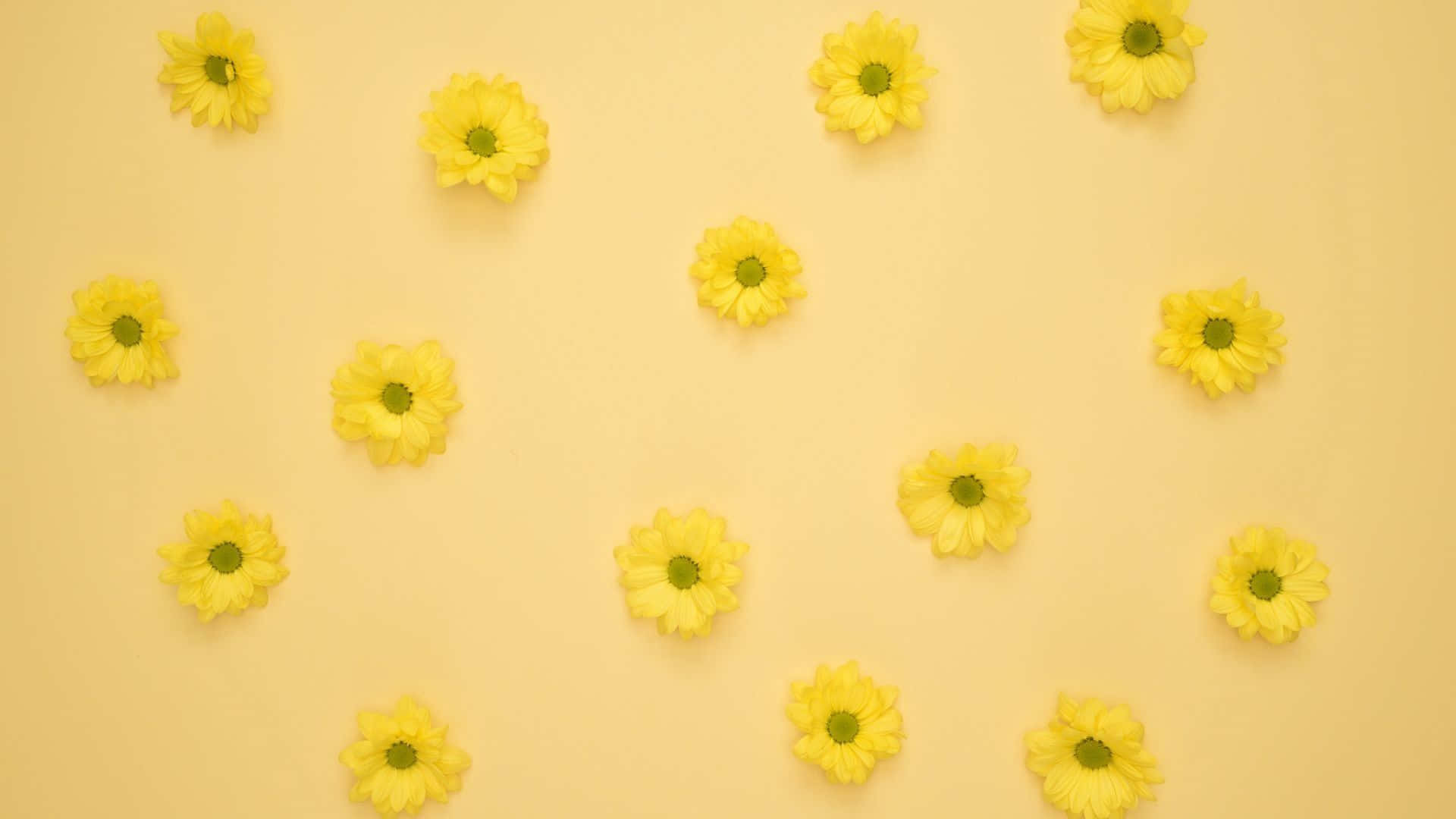 Warm Yellow Floral Pattern Wallpaper