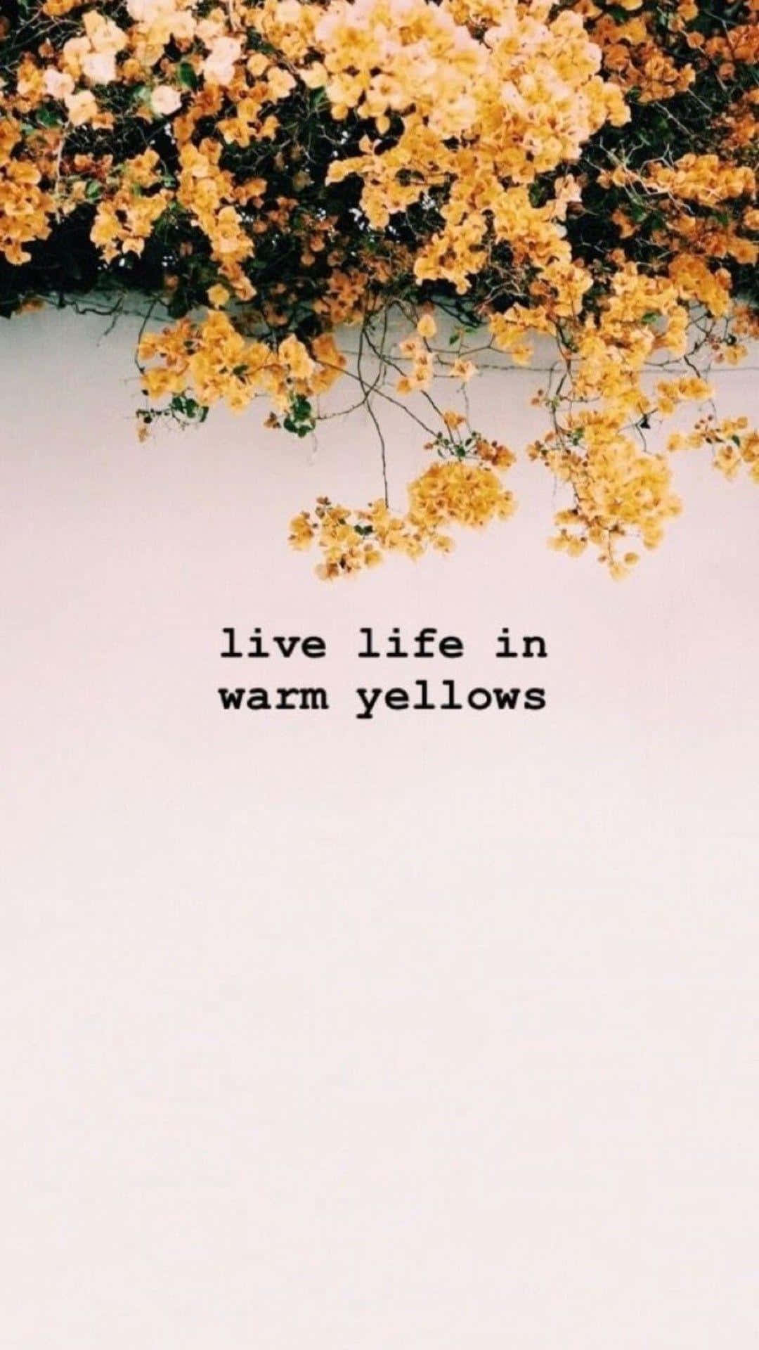 Warm Yellows Life Quote Wallpaper