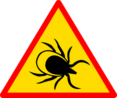 Warning Sign Black Spider Triangle PNG
