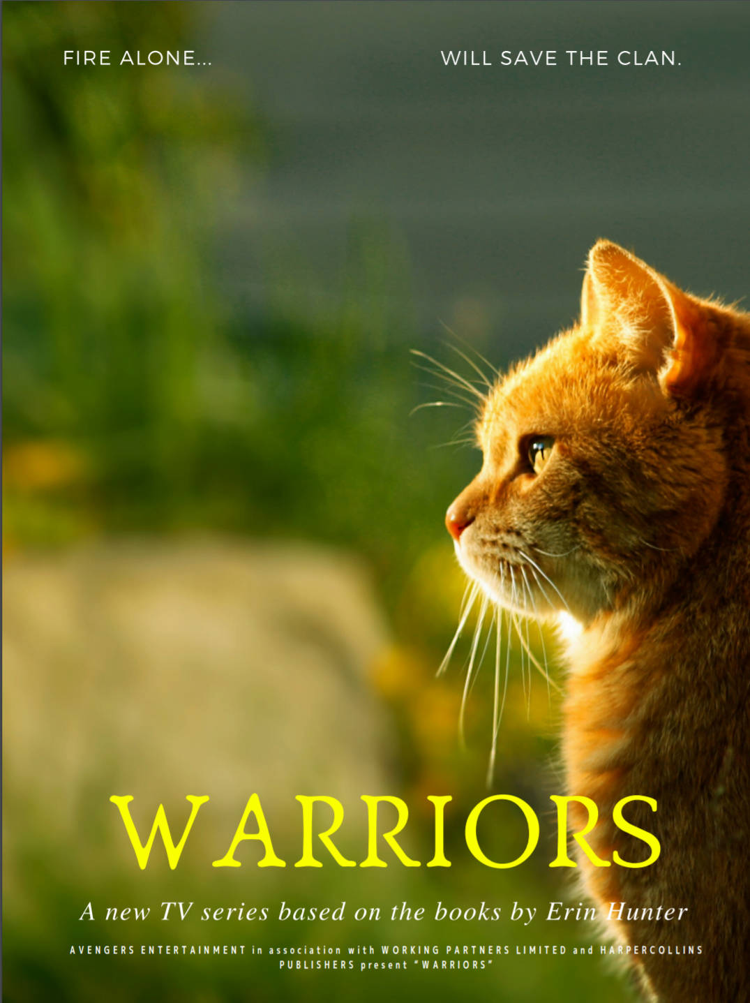 Warrior Cats Television Series Wallpaper