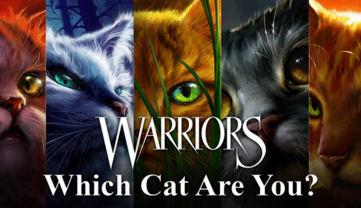 Warrior Cats Quiz Wallpaper