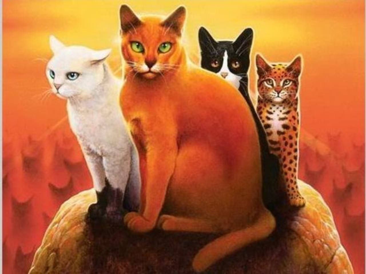 Kriegerkatzensitzen Auf Einem Felsen. Wallpaper