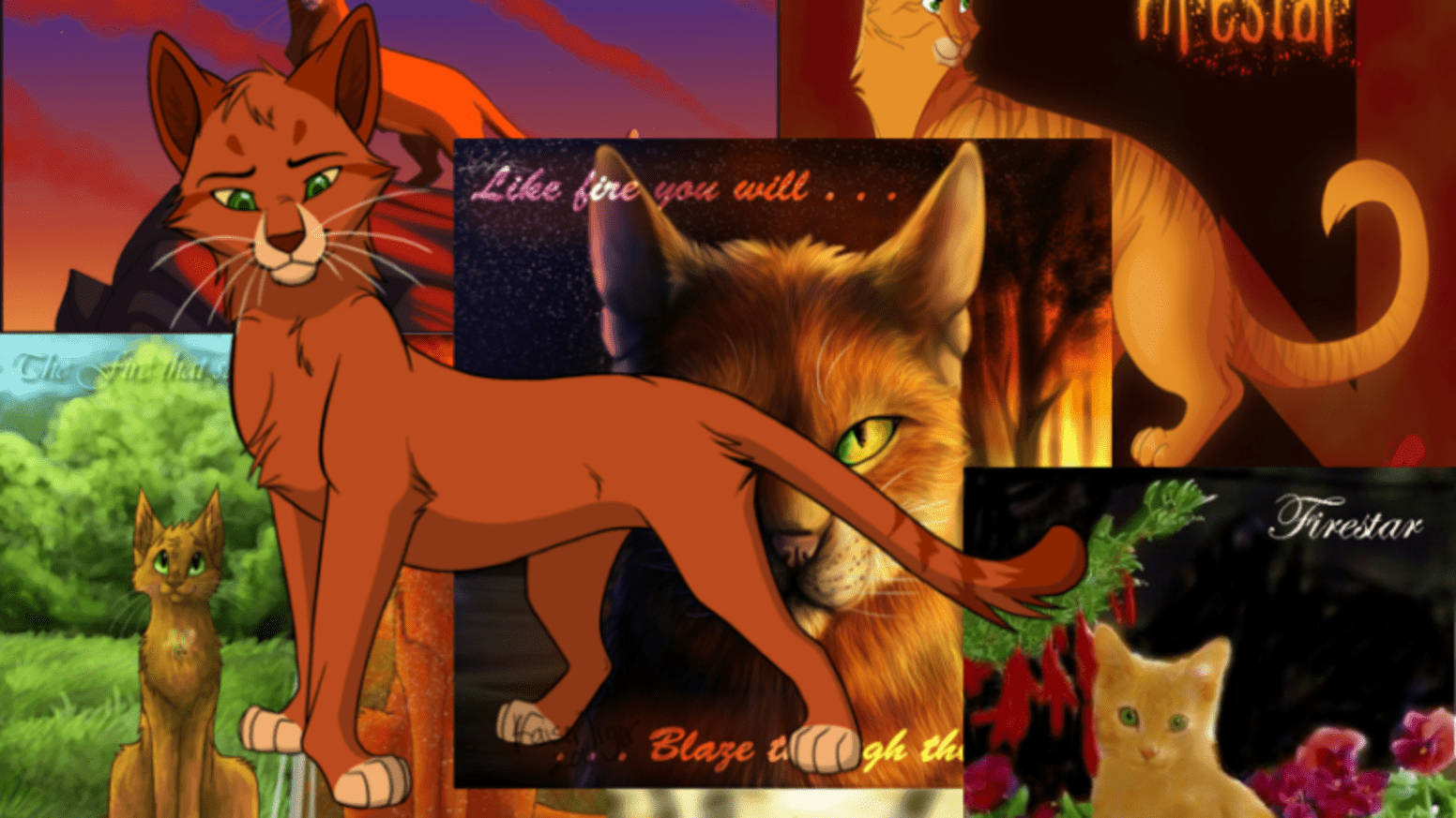 Firestar Of Warrior Cats Collage Wallpaper