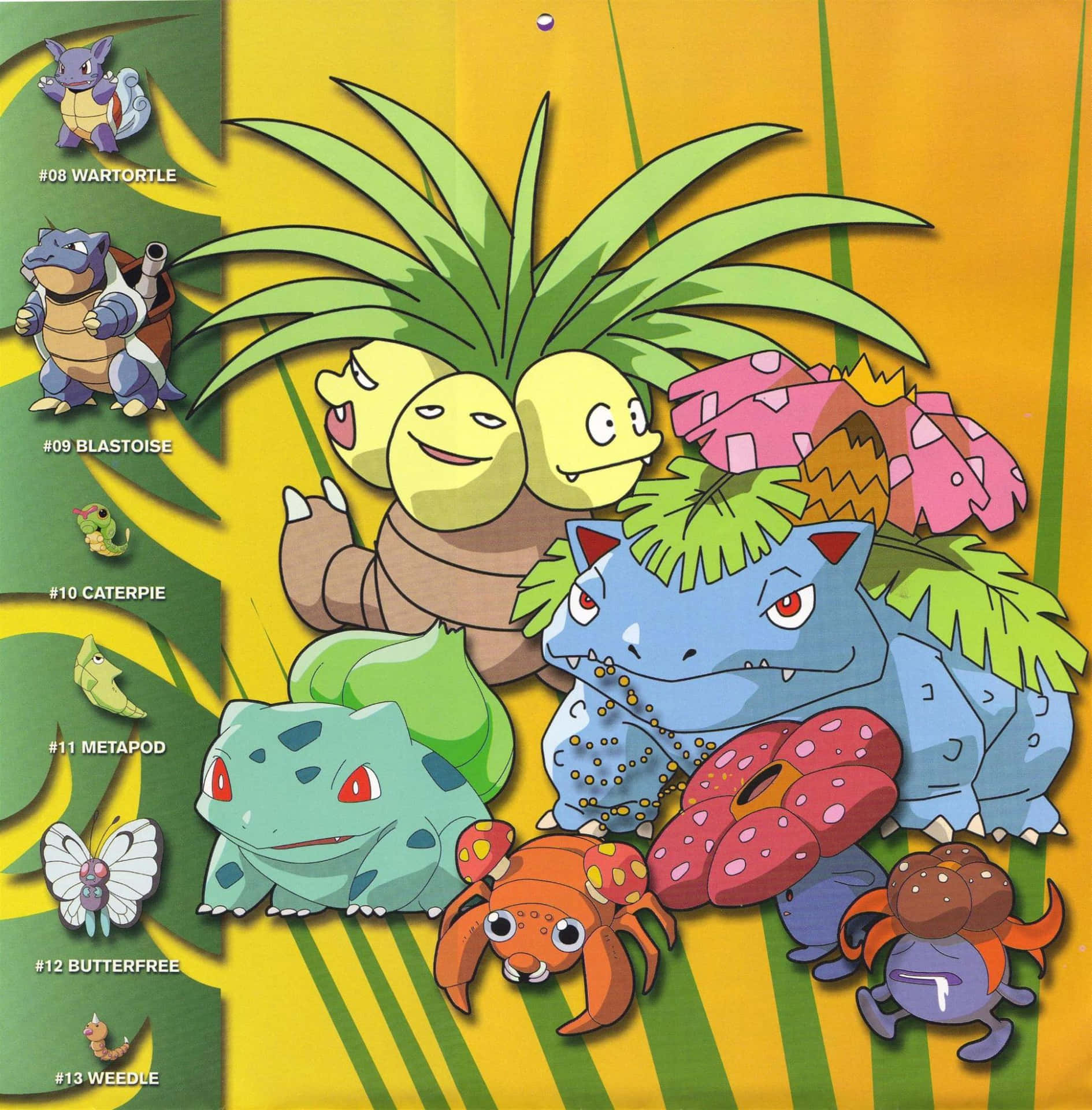 Wartortle With Other Generation 1 Pokémon Wallpaper