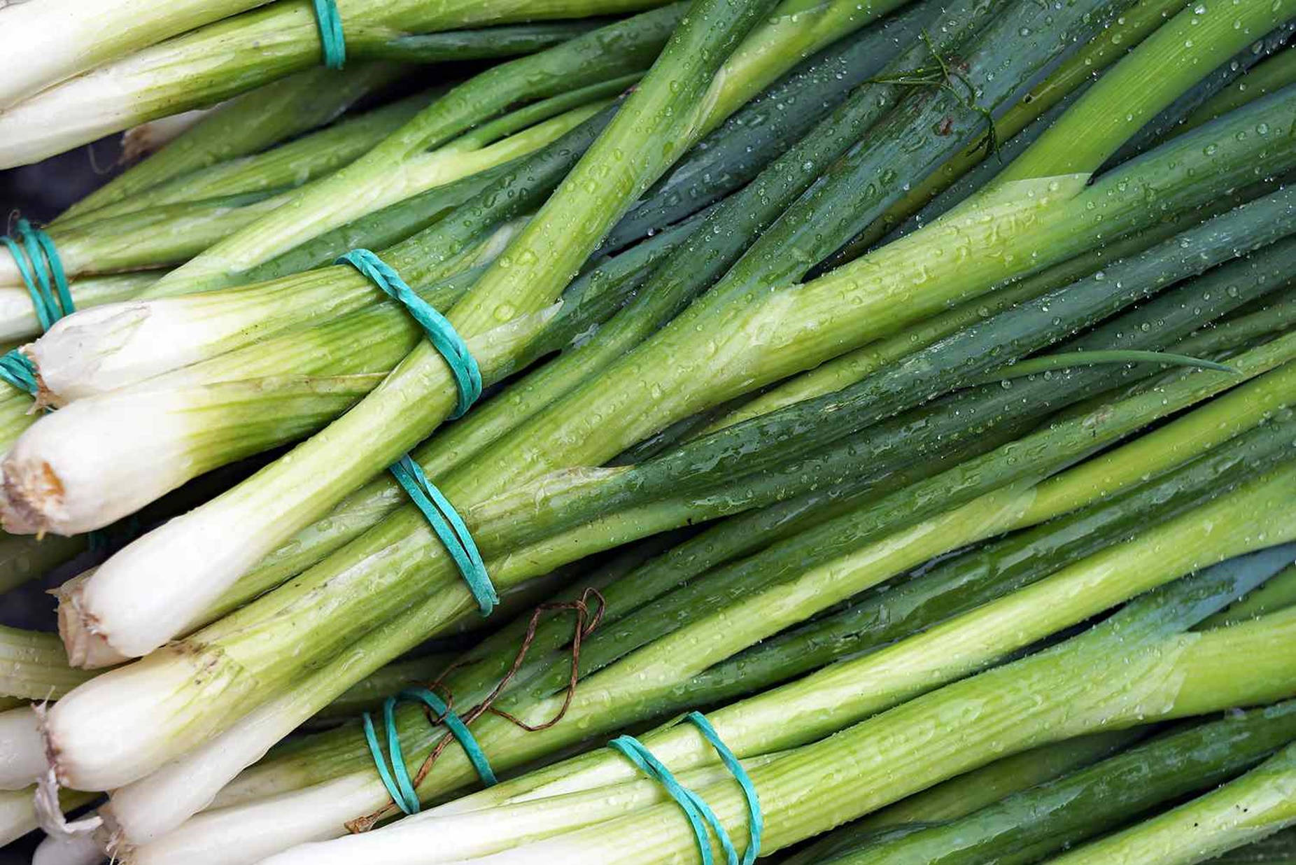 Washed Green Onions With Rubber Bands Wallpaper