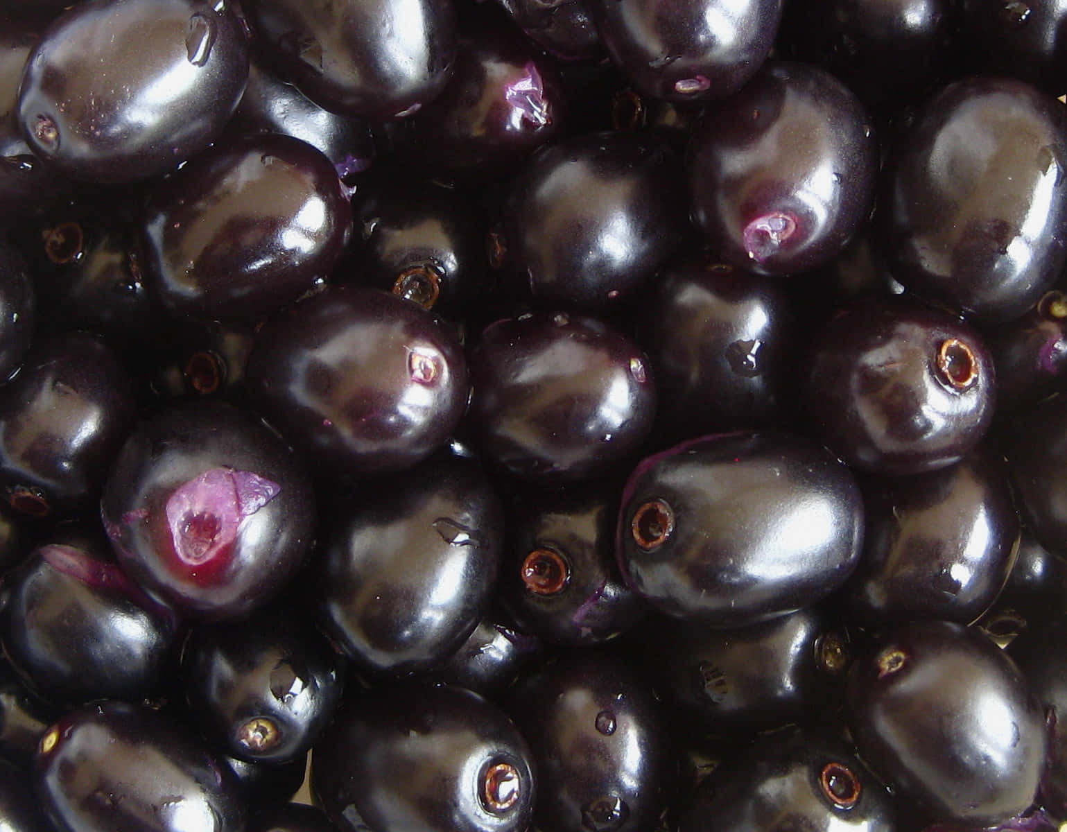 Washed Java Plums With Glossy Skins Wallpaper
