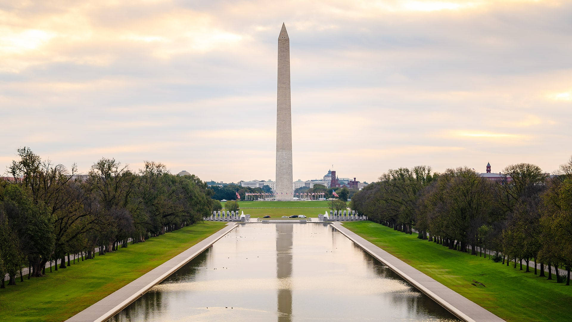 Monumentodi Washington E Piscina Sfondo