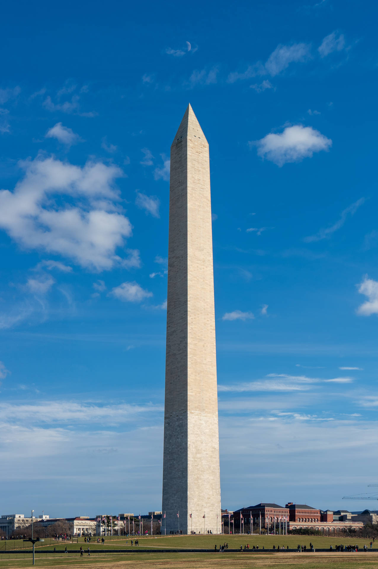 Monumentoa Washington Cielo Azul Fondo de pantalla