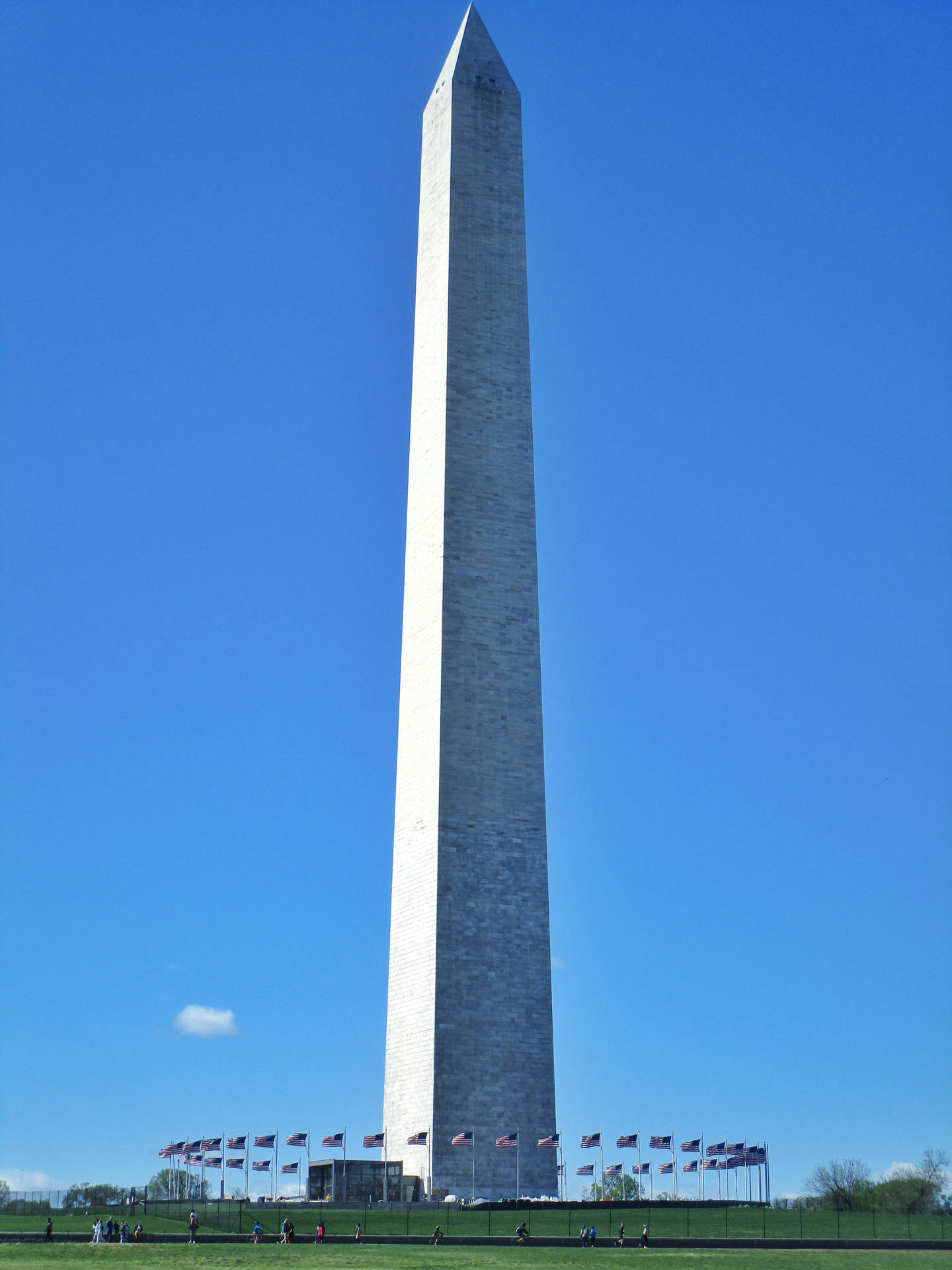 Vistamaestosa Del Monumento A Washington Sotto Un Cielo Sereno. Sfondo