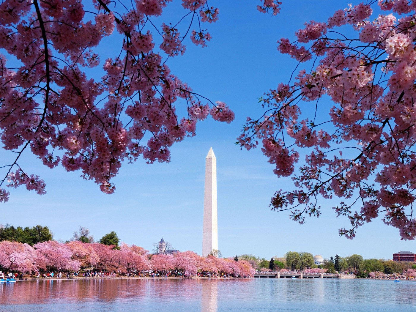 Washington Monument Washington, DC Wallpaper
