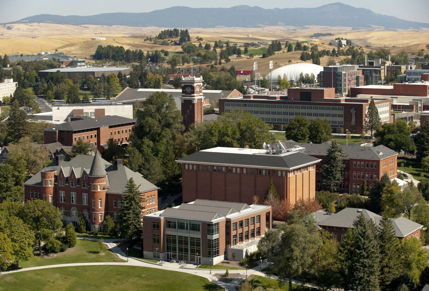 Vistamaestosa Del Campus Dell'università Dello Stato Di Washington Sfondo