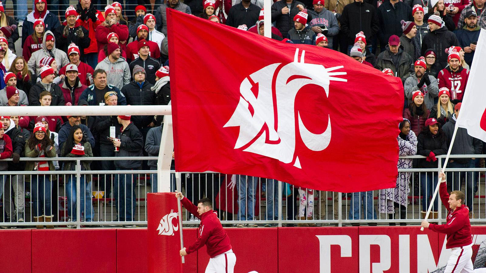 Washington State University Cougars Flag Background
