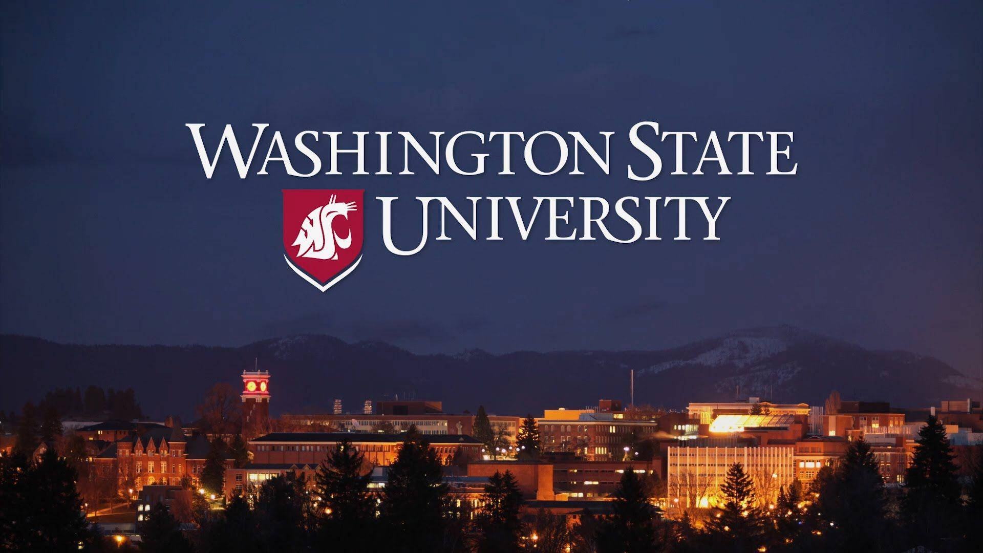 Universidad Estatal De Washington Hd Fondo de pantalla