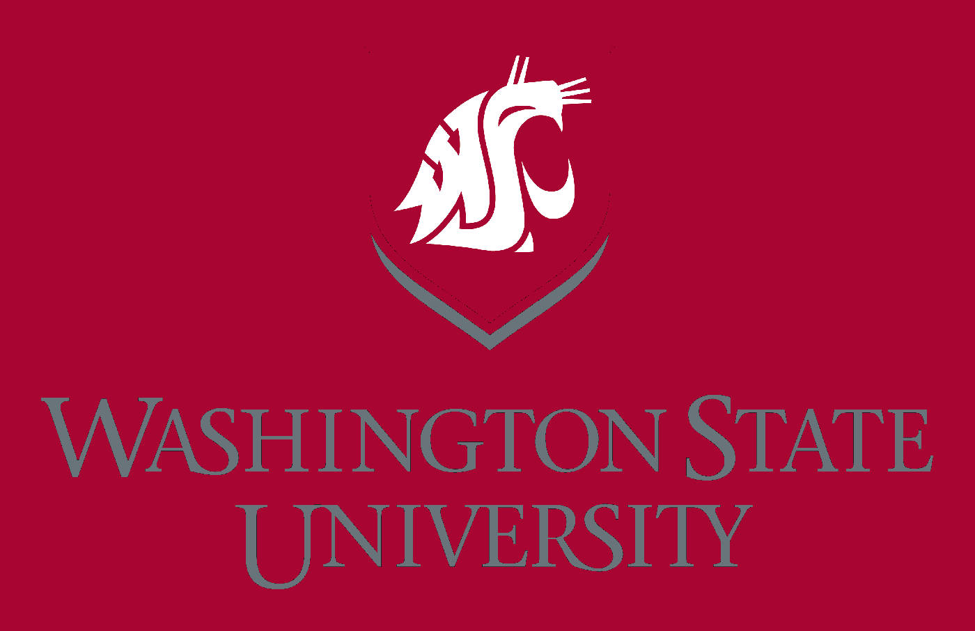 Iconicologo Della Washington State University Su Sfondo Rosso Sfondo