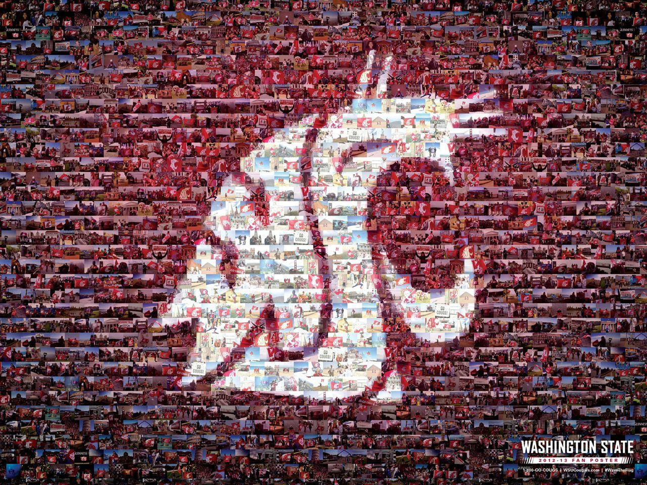 Washingtonstate University Vita Cougars-logotypen. Wallpaper