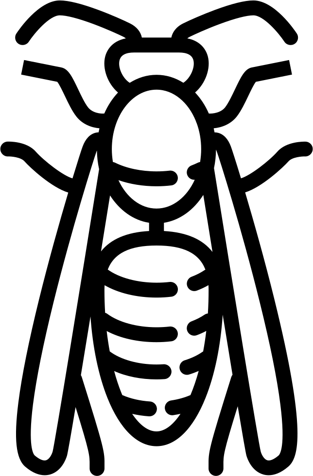 Wasp Icon Outline PNG