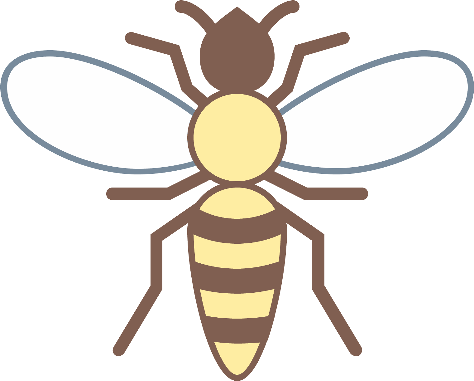 Wasp Vector Illustration PNG