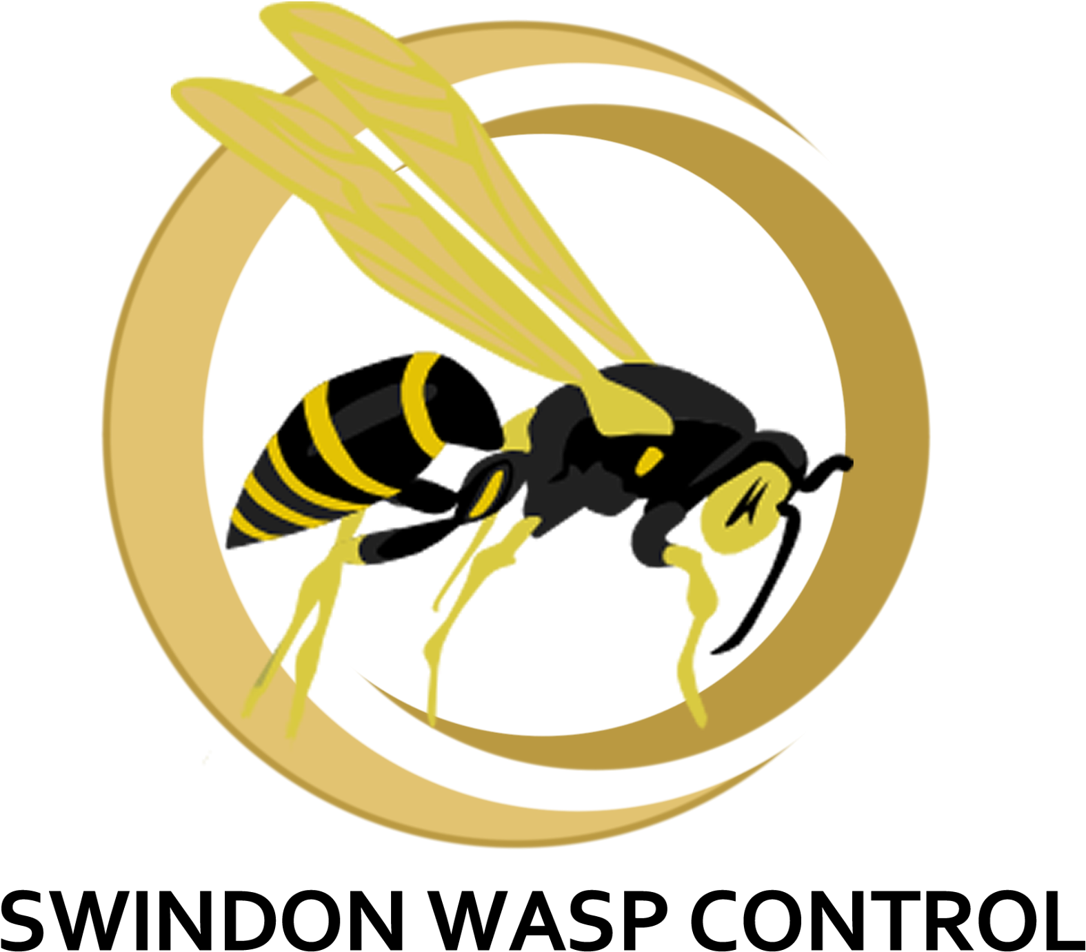 Wasp_ Control_ Service_ Logo PNG