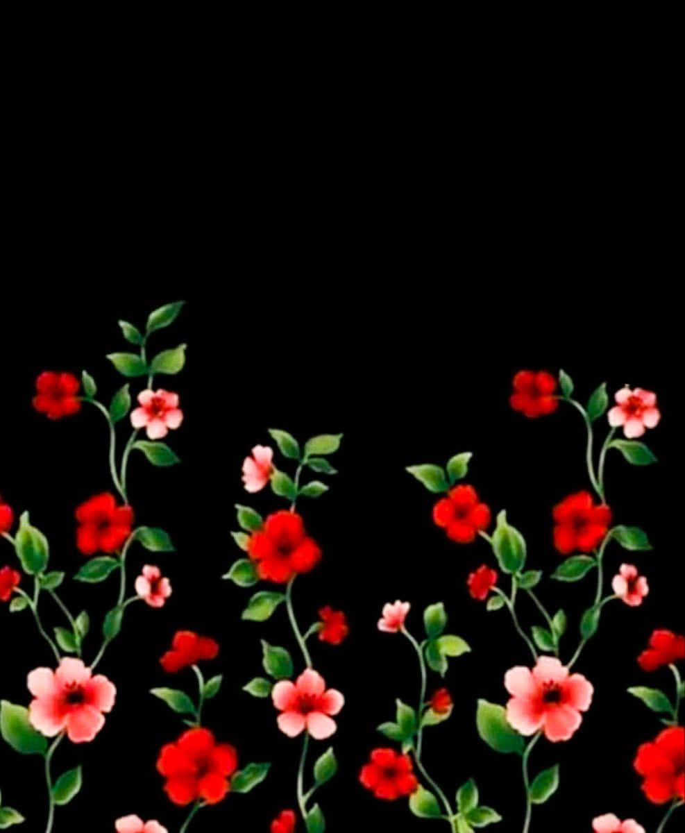 Red Flowers On A Black Background
