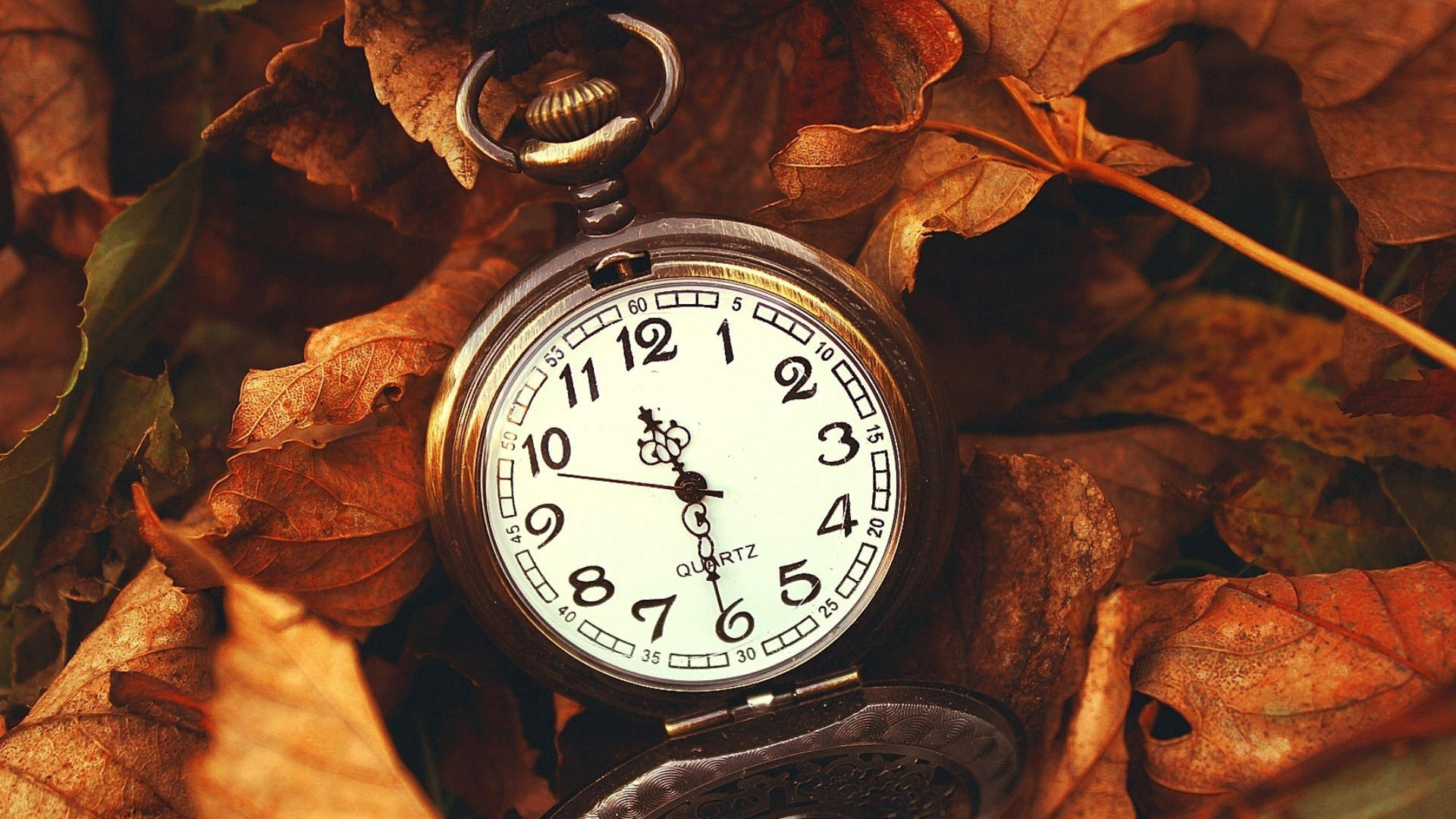 Watch On Dried Leaves Tiempo Background Wallpaper
