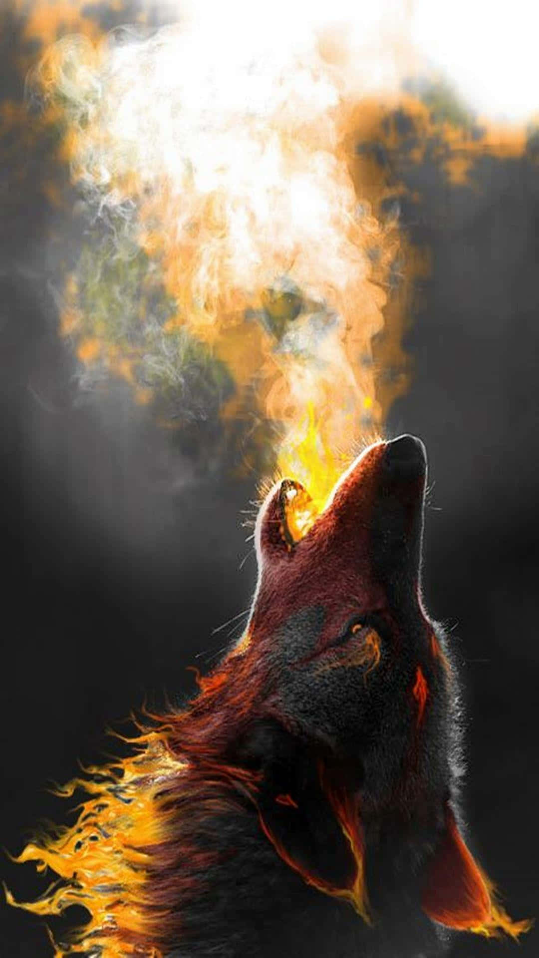 A Mystical Wolf of Water and Fire Wallpaper