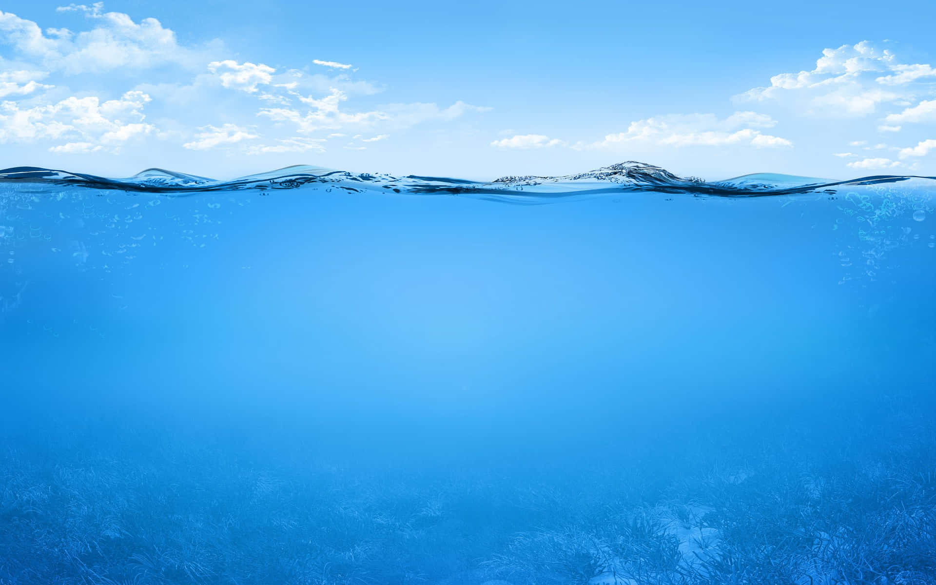 Awesome Underwater Landscape Background