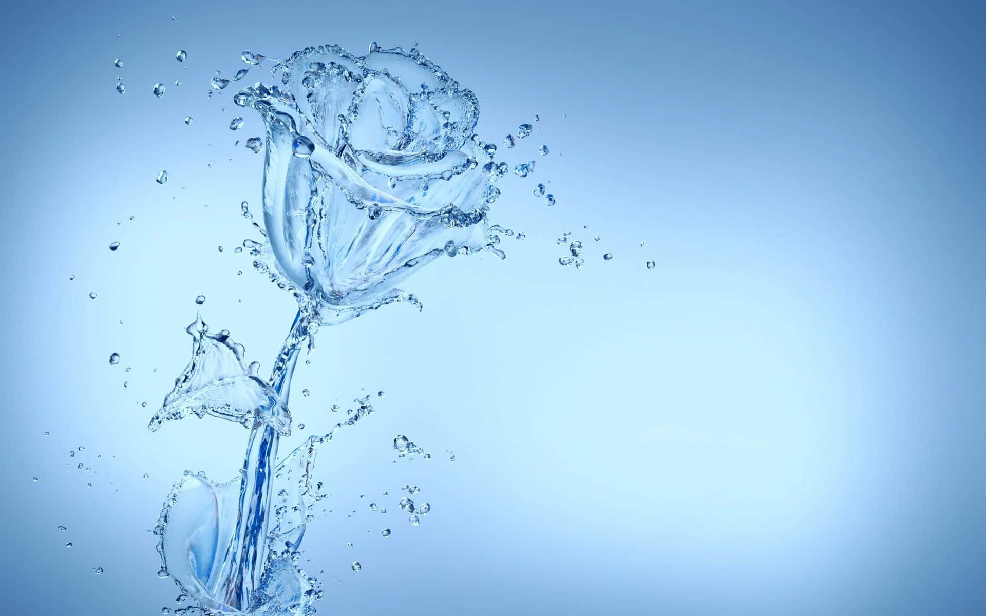 Rose Made Of Water Background