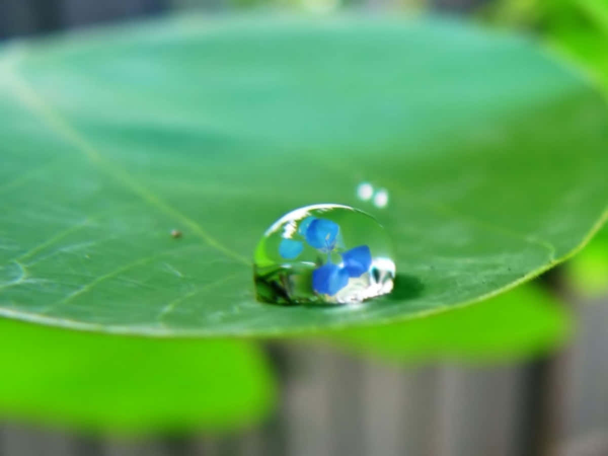 Shine like a diamond- The perfect Water Drop