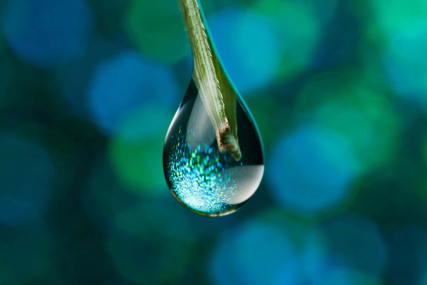 Water Drop Molecules Photography Picture