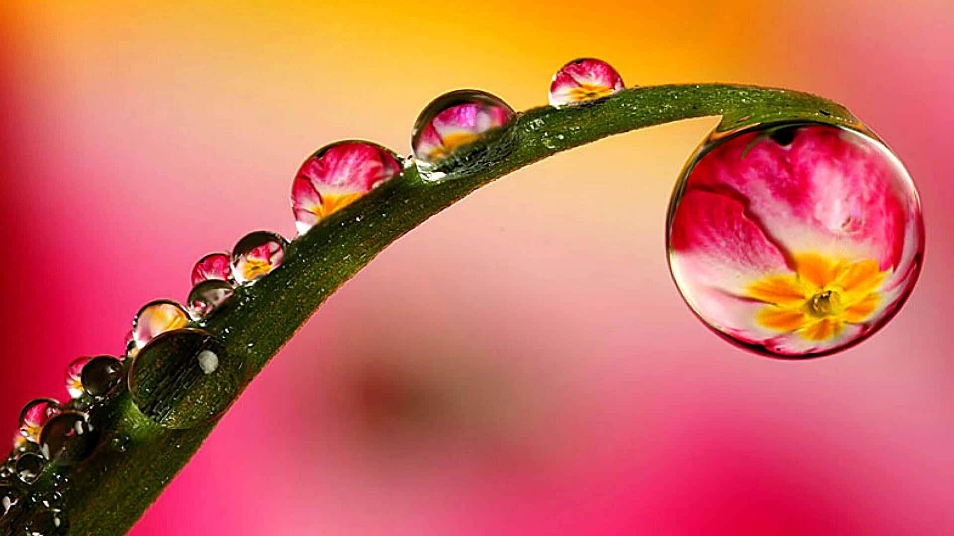 "The beauty of a single water drop"