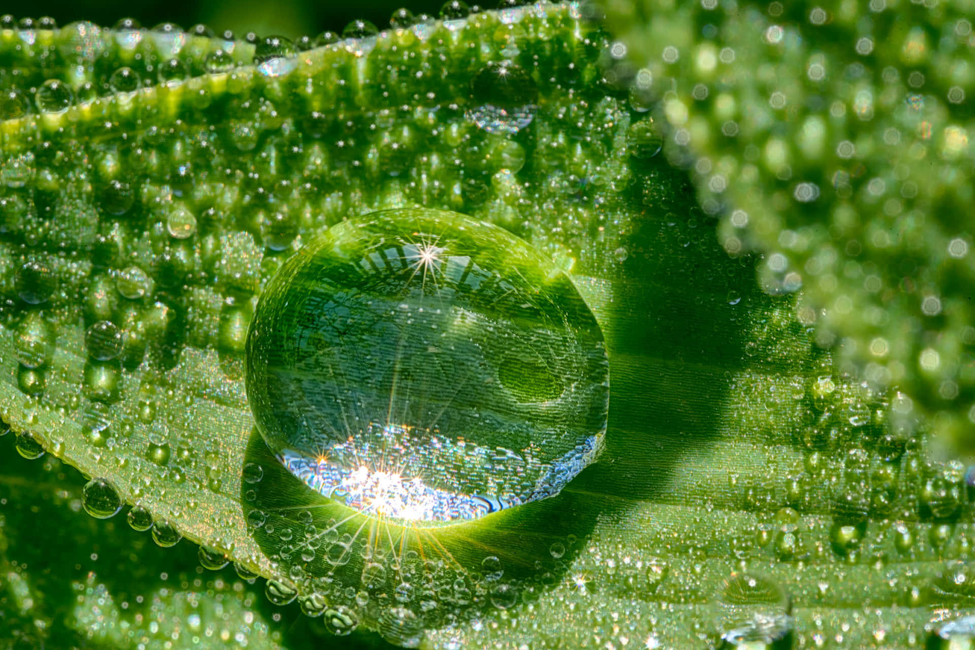 A water droplet in midair, awaiting its next destination.