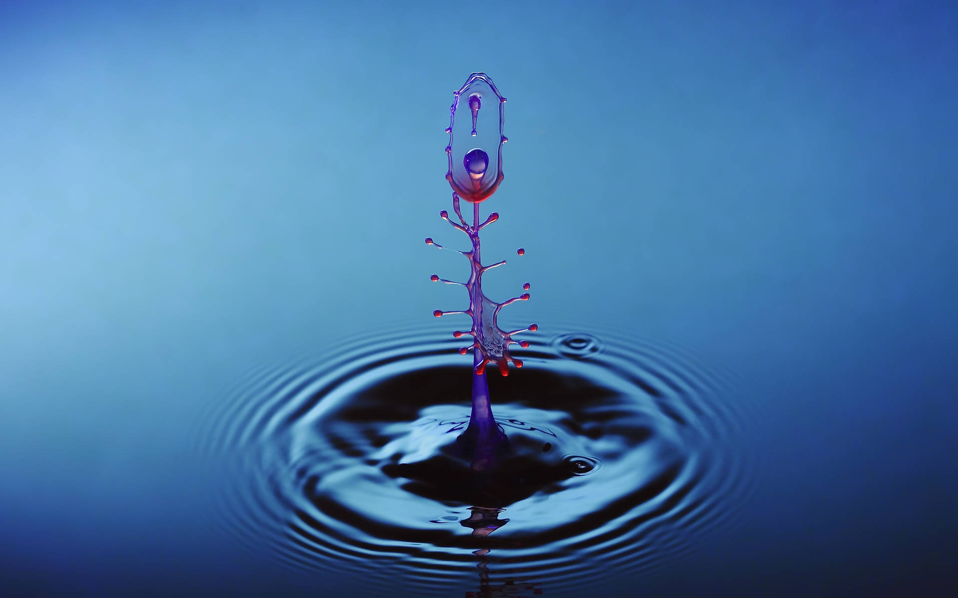 Water Droplet Live 3d Picture