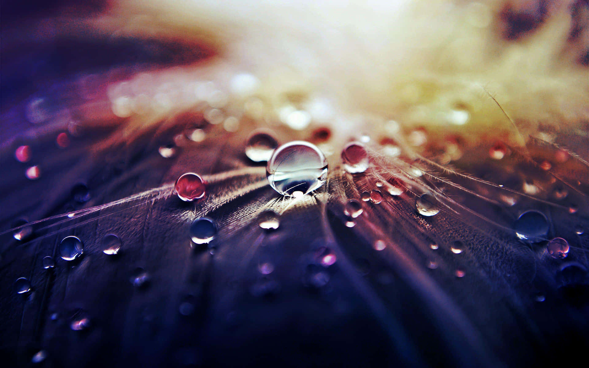 Refreshing Droplet of Water