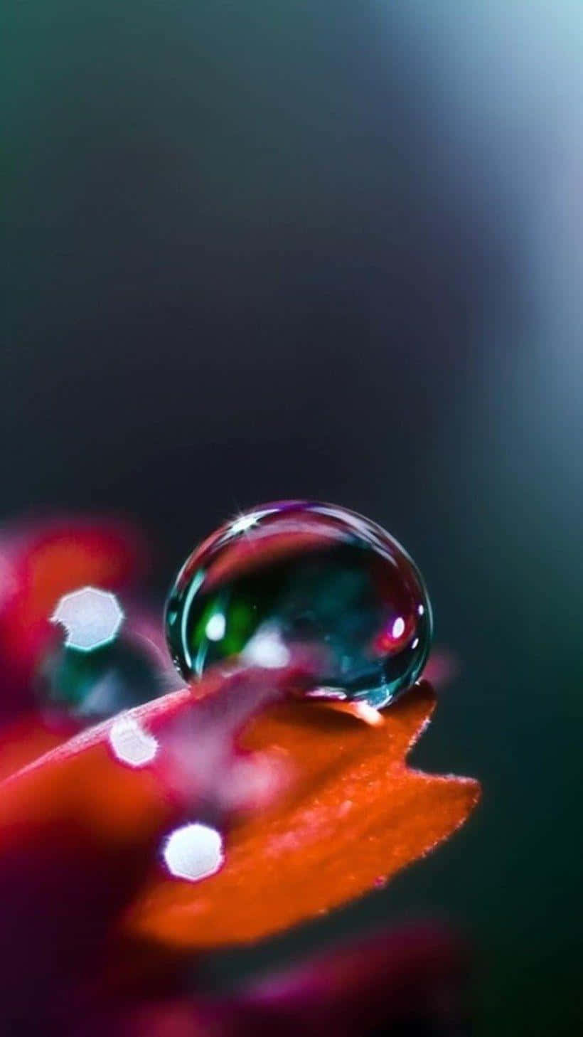A Glistening Water Droplet Reflected in the Light