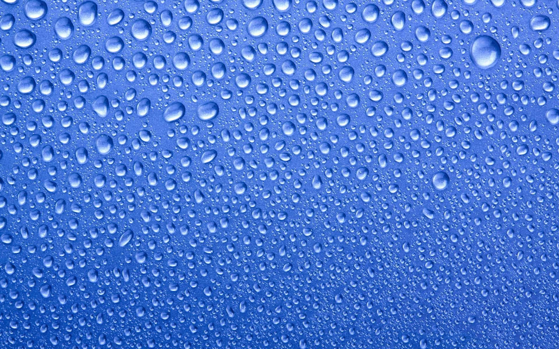 A clear droplet of water against a light background